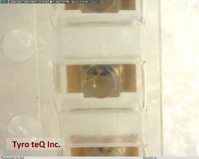 HBR1105W-TR