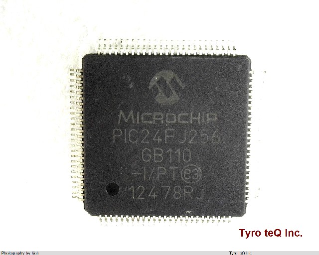 PIC24FJ256GB110-I/PT