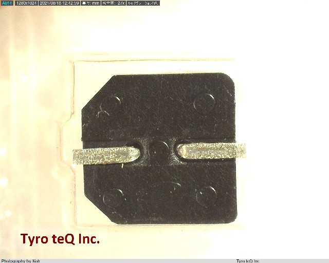 UWX1C101MCL1GB