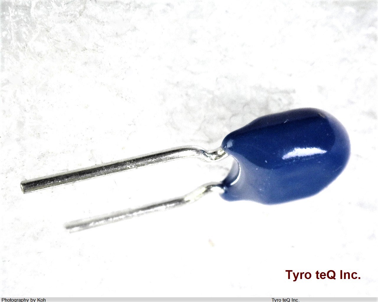 FK22Y5V1C476Z
