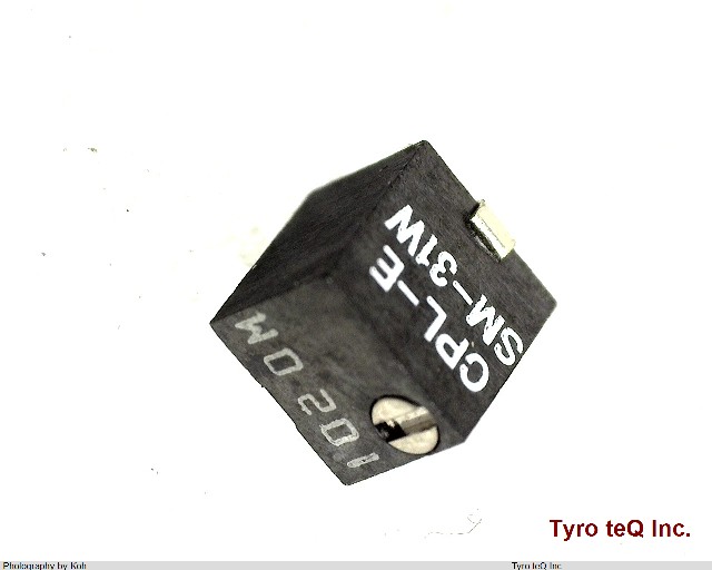 SM-31W 1KOHM