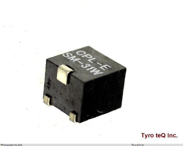 SM-31W 1KOHM