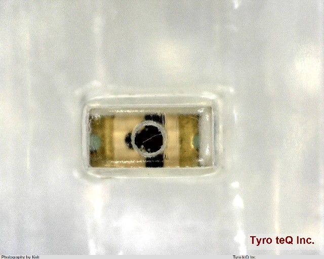 CL-195YG-CD-T