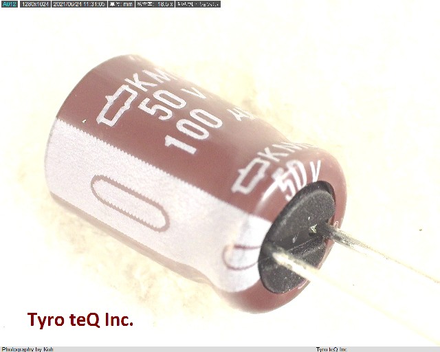 EKMG500ELL101MHB5D