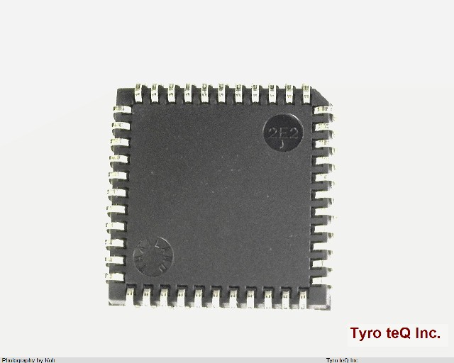 PIC16LF877A-I/L