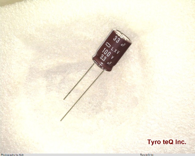 ELXV101ELL330MJ16S