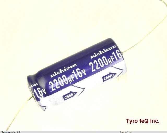 TVX1C222MCA