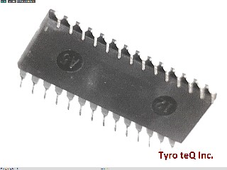 SRM20256LC12