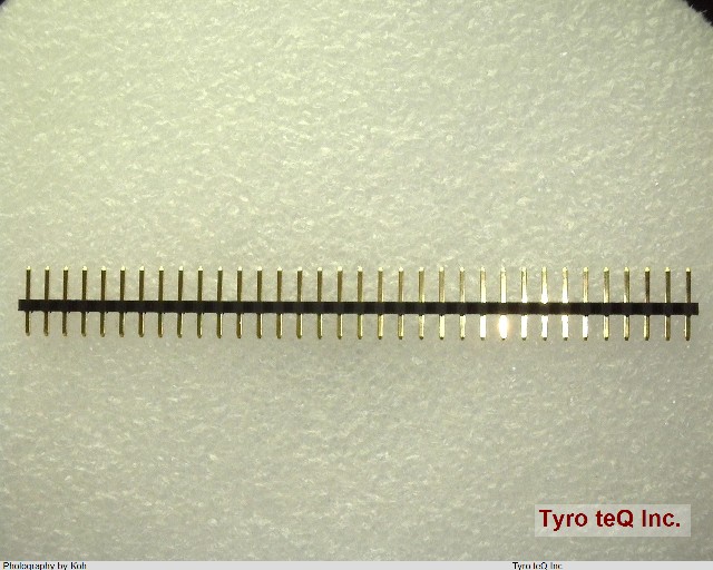 WL-1