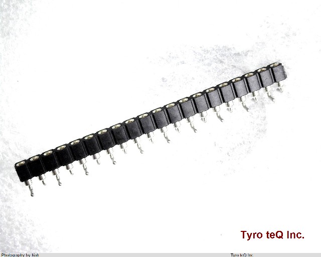 FRM-410566-20