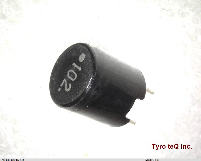 LHL08NB102J