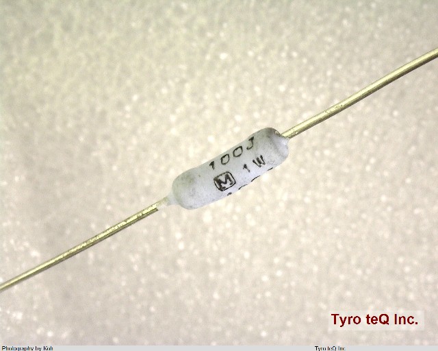 ERG1SJ100