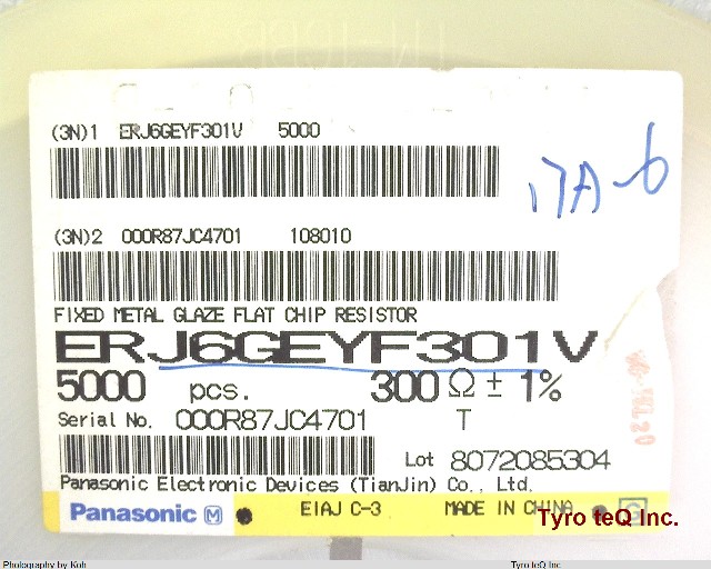 ERJ-6GEYF301V