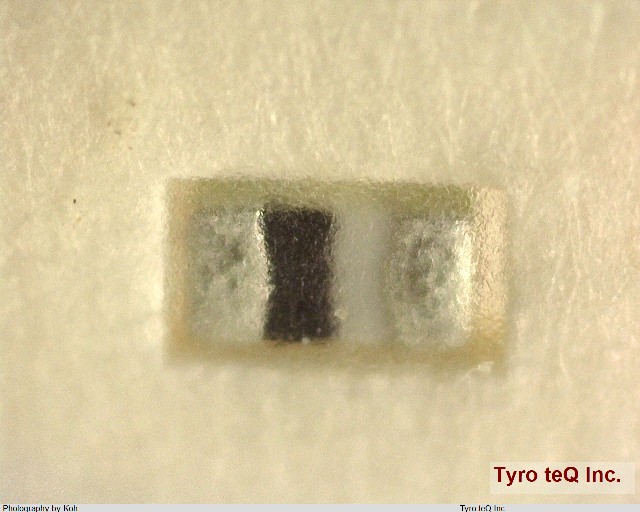 LL1005-FHL3N9S