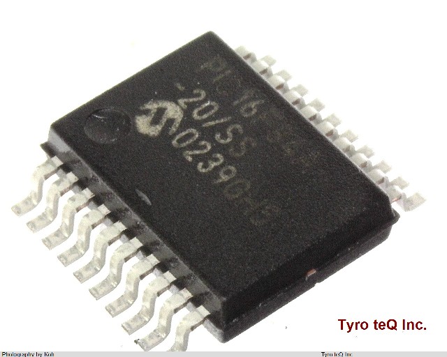 PIC16F84A20SS
