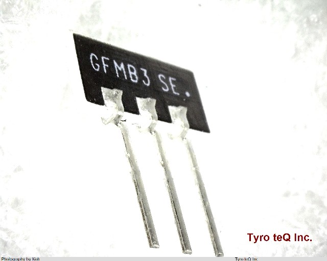 GFMB3-C2
