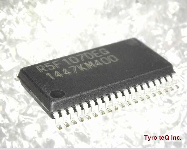 R5F107DEGSP#V0