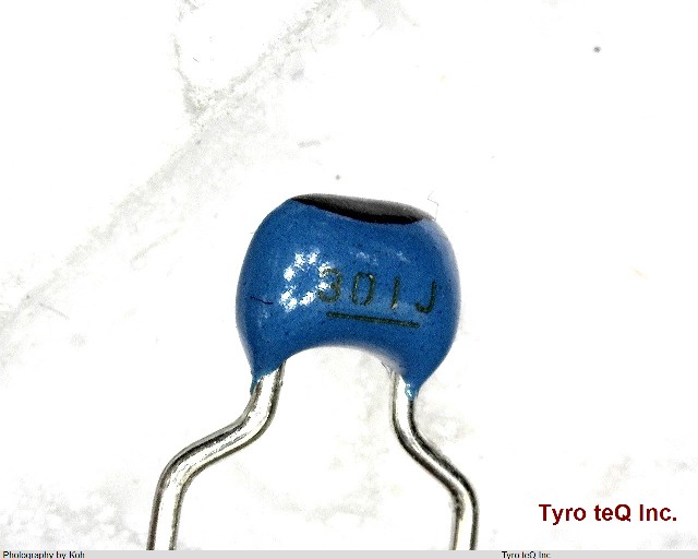 RPE2C1H301J2K1A01B