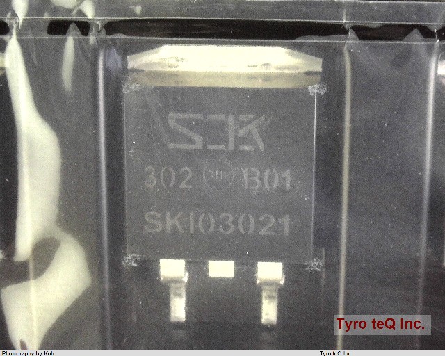 SKI03021