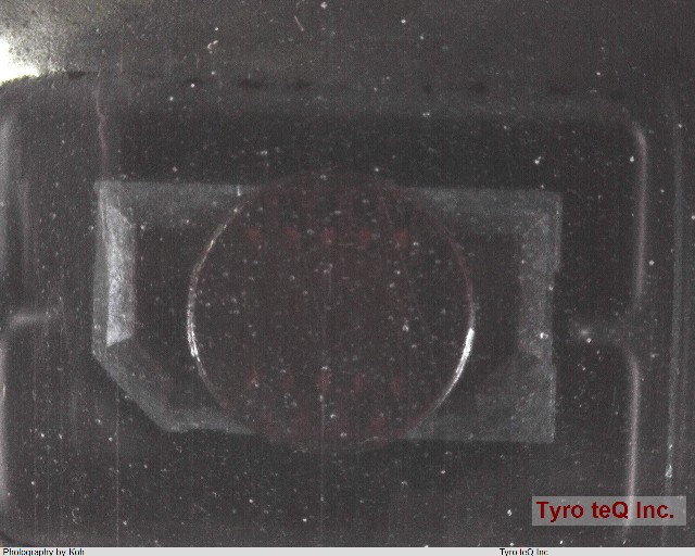 ERF8-005-05.0-S-DV-K-TR