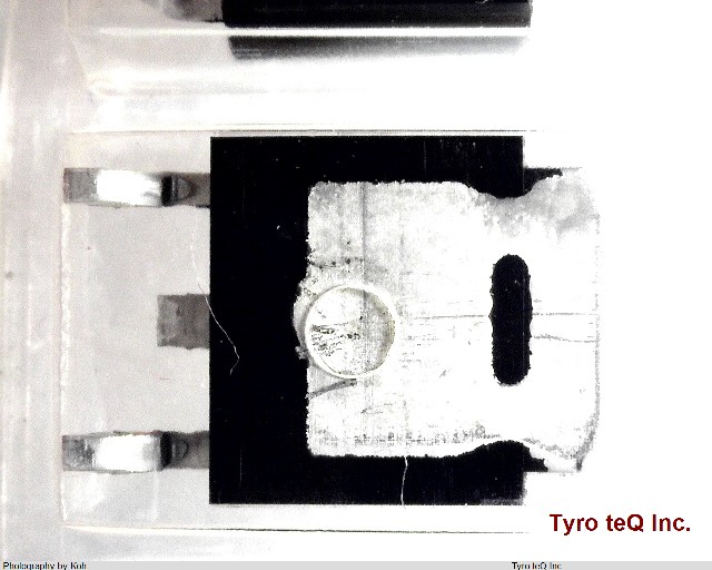 2SA1244-Y(T6L1,NQ)