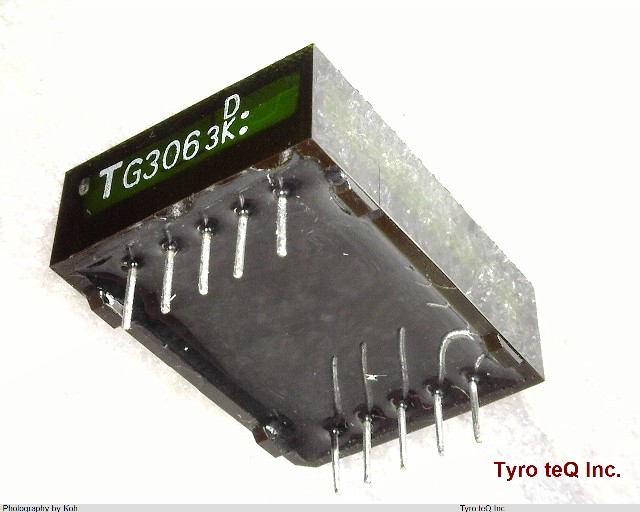 TLG306