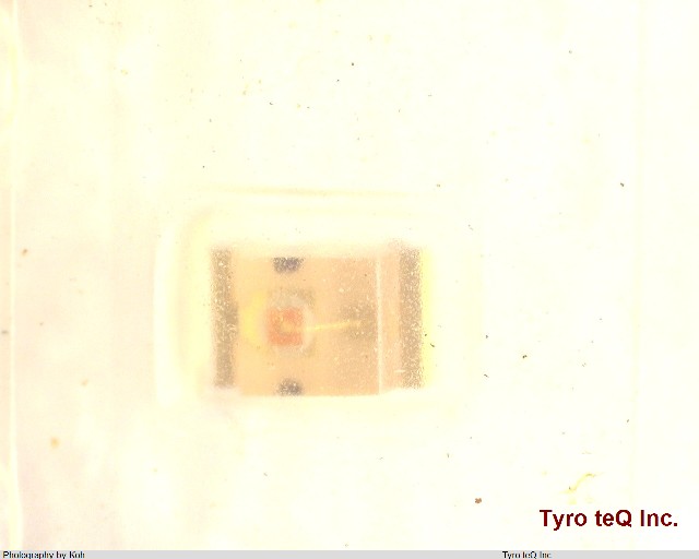 TLGD1002