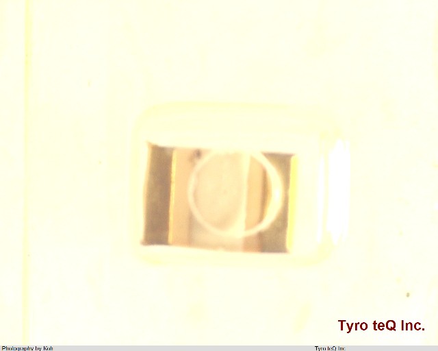 TLGD1002