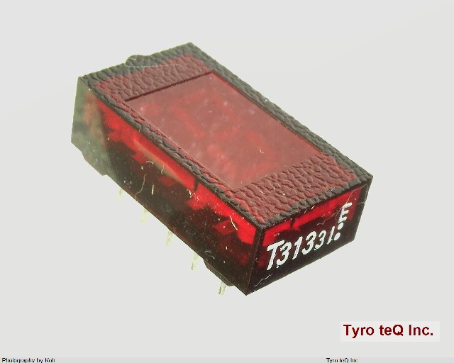TLR313