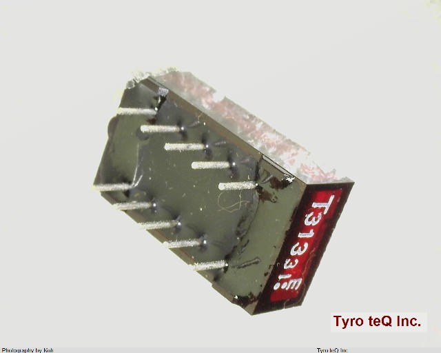 TLR313