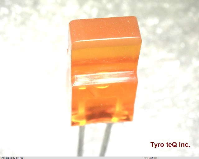 TLO208