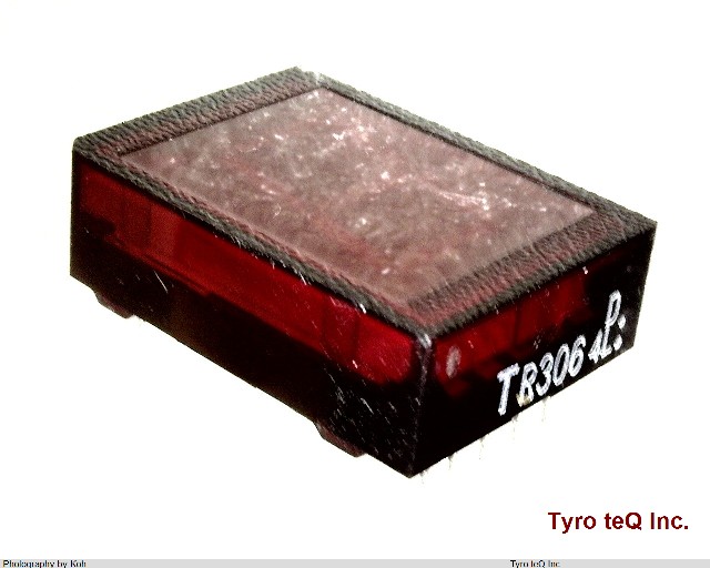TLR306