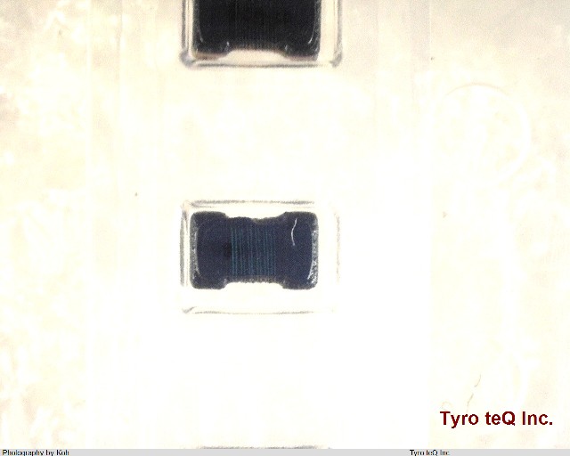 DLW21HN900SQ2L