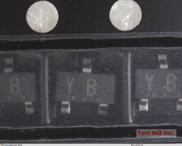 RN2402(TE85L,F)