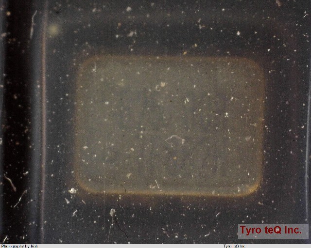 SG-310SCF25MHZ-B