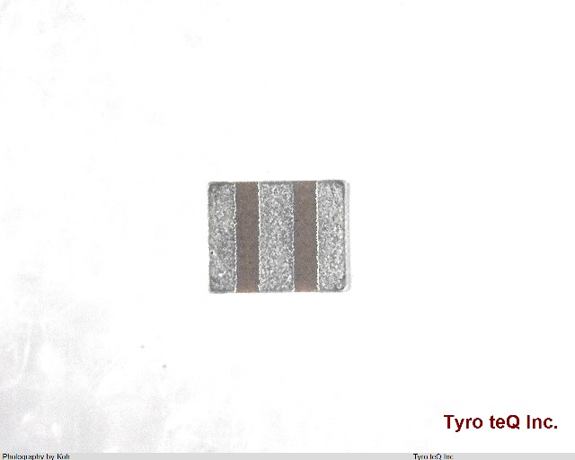 CSTCZ48M0X11R99-B0