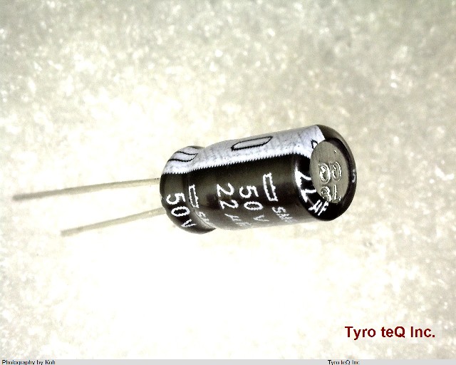 ESMG500ELL220ME11D