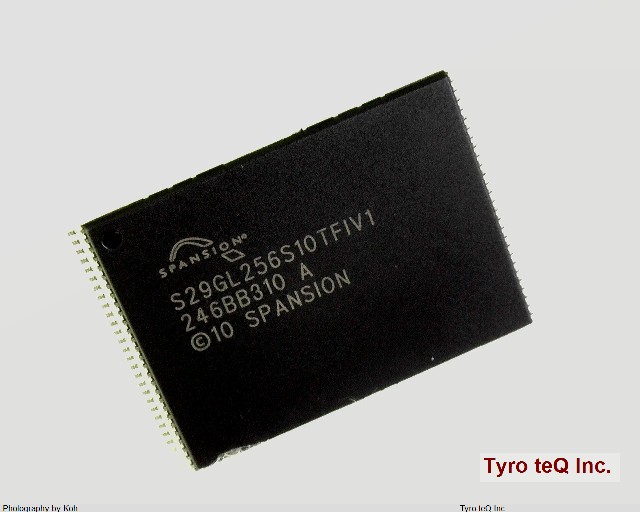 S29GL256S10TFIV10