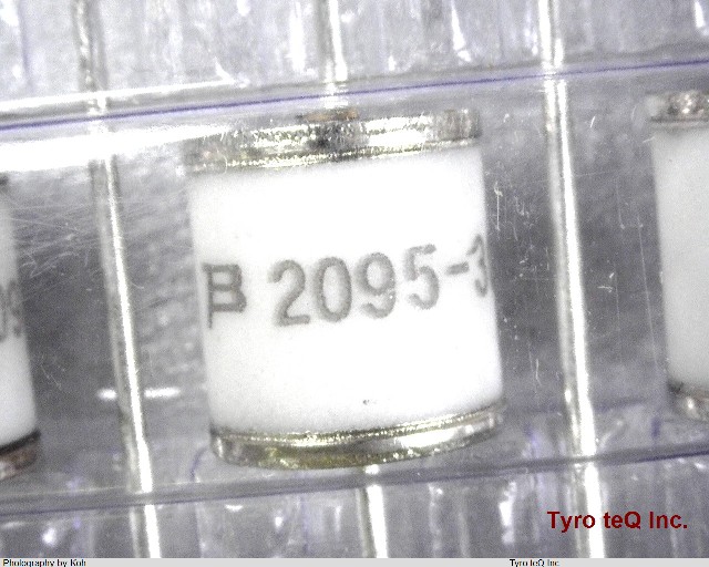 2095-300-BLF