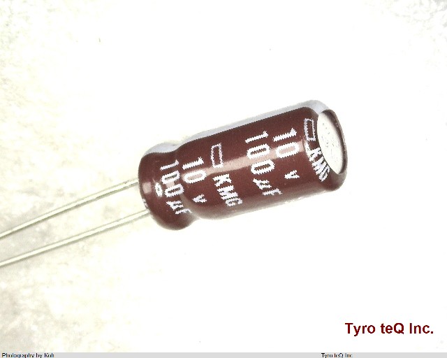 EKMG100ELL101ME11D