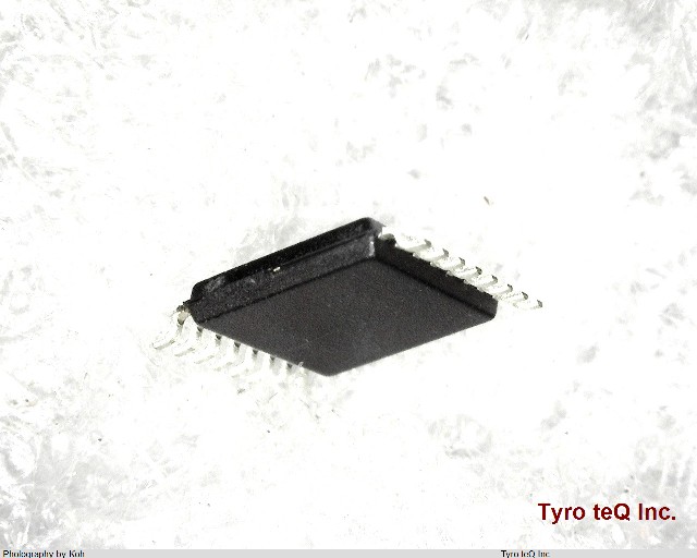 IDT5V41065PGG