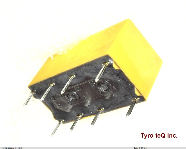 DS2E-M-DC24V