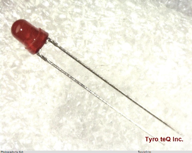 TLSU124(F)