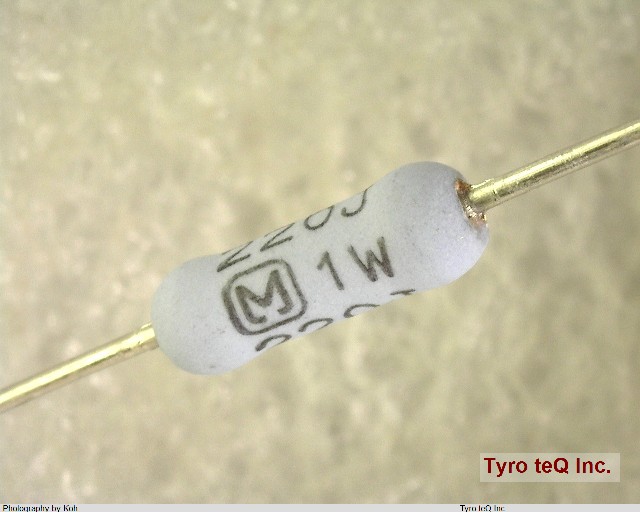 ERG1SJ220