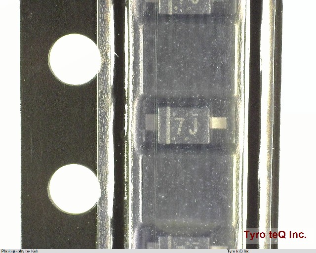 DZ2J03900L