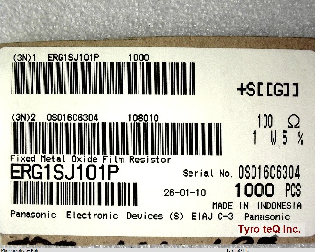 ERG1SJ101P