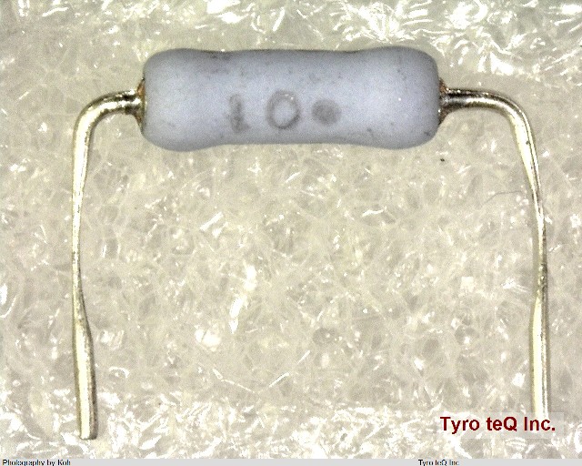 ERG1SJ101P