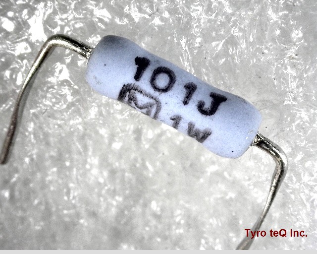 ERG1SJ101P