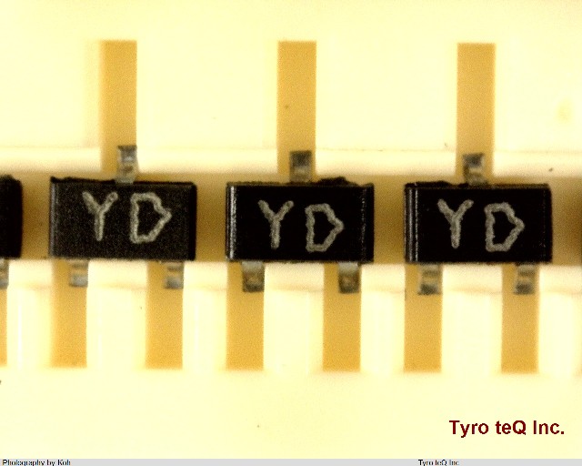 RN2404/YD