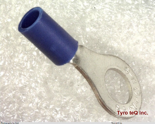 RAV2-6